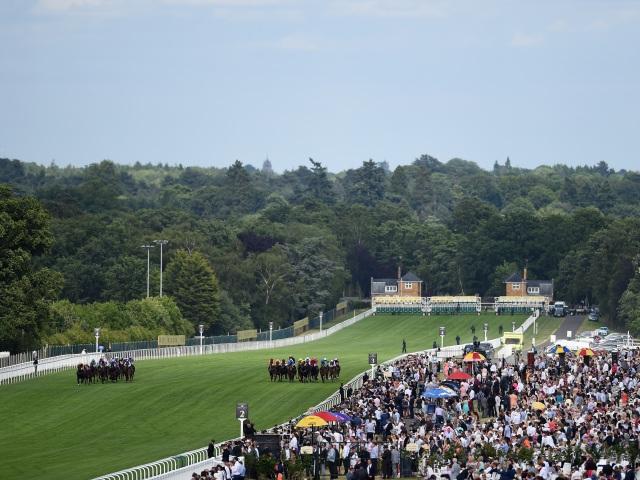 The International Stakes takes place at Ascot on Saturday